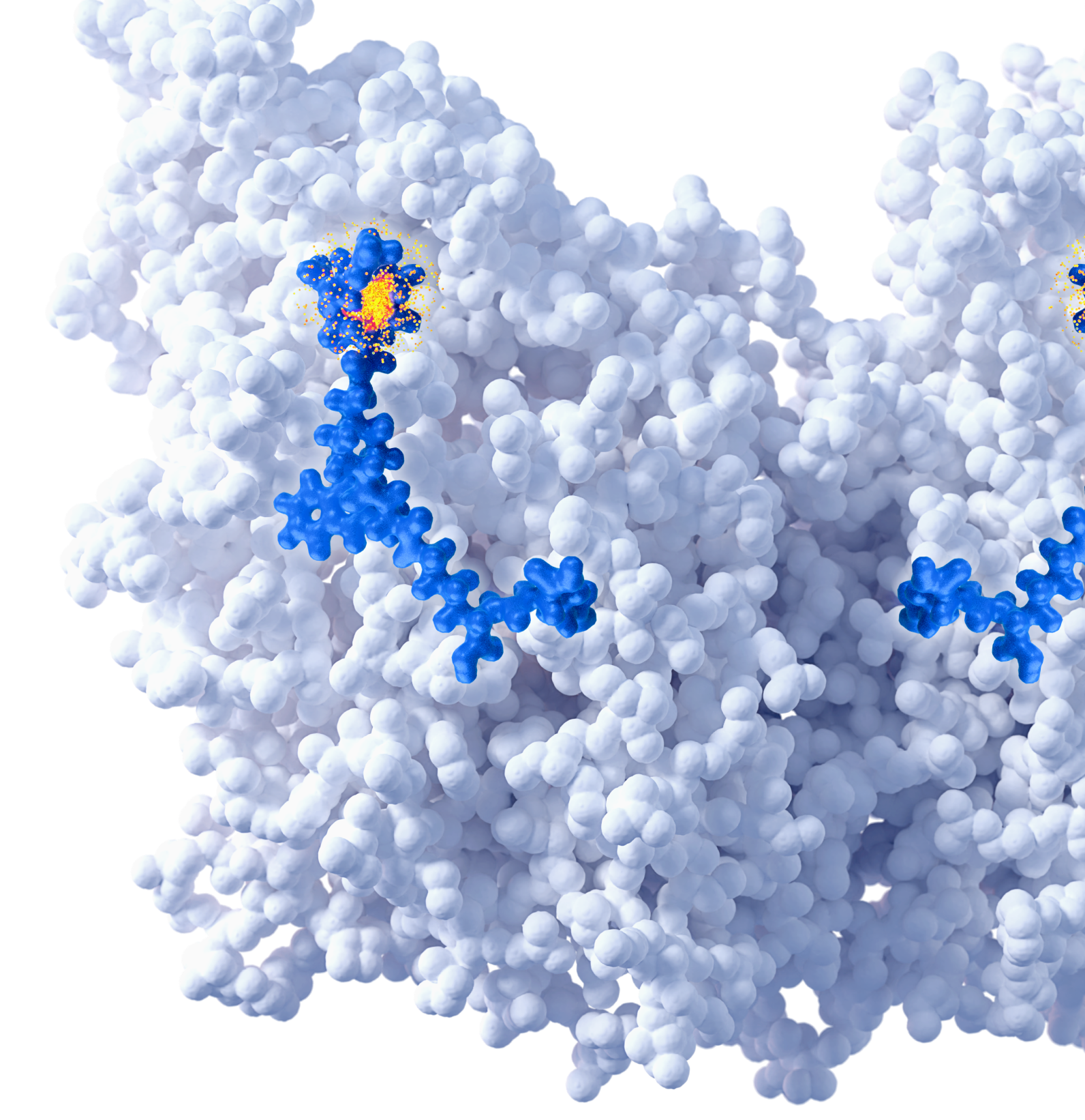 science_of_rlt