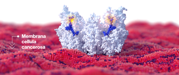 IT_membrane_M