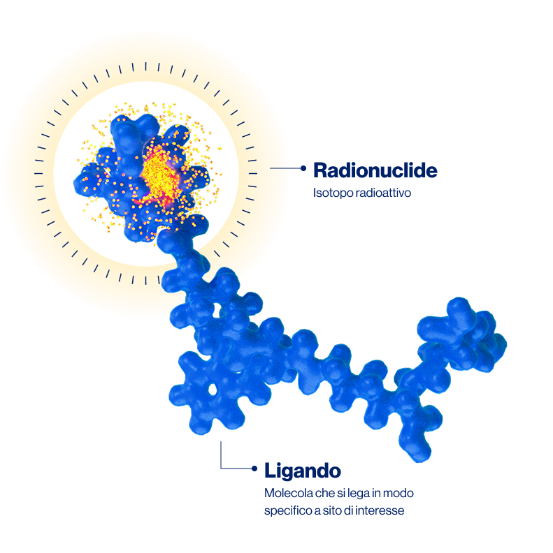 IT_radioligand_L-1
