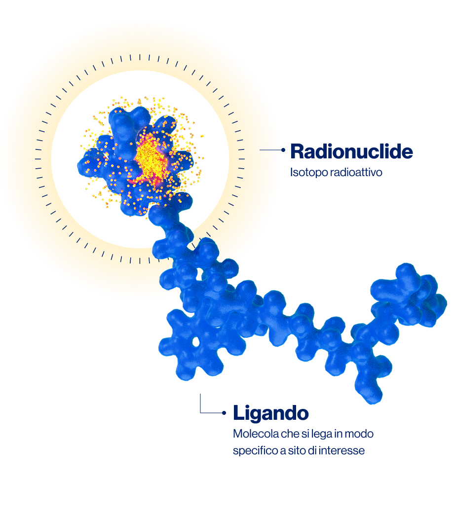 IT_radioligand_XL-1