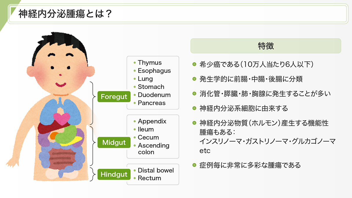 nen-medical-network-slide-02