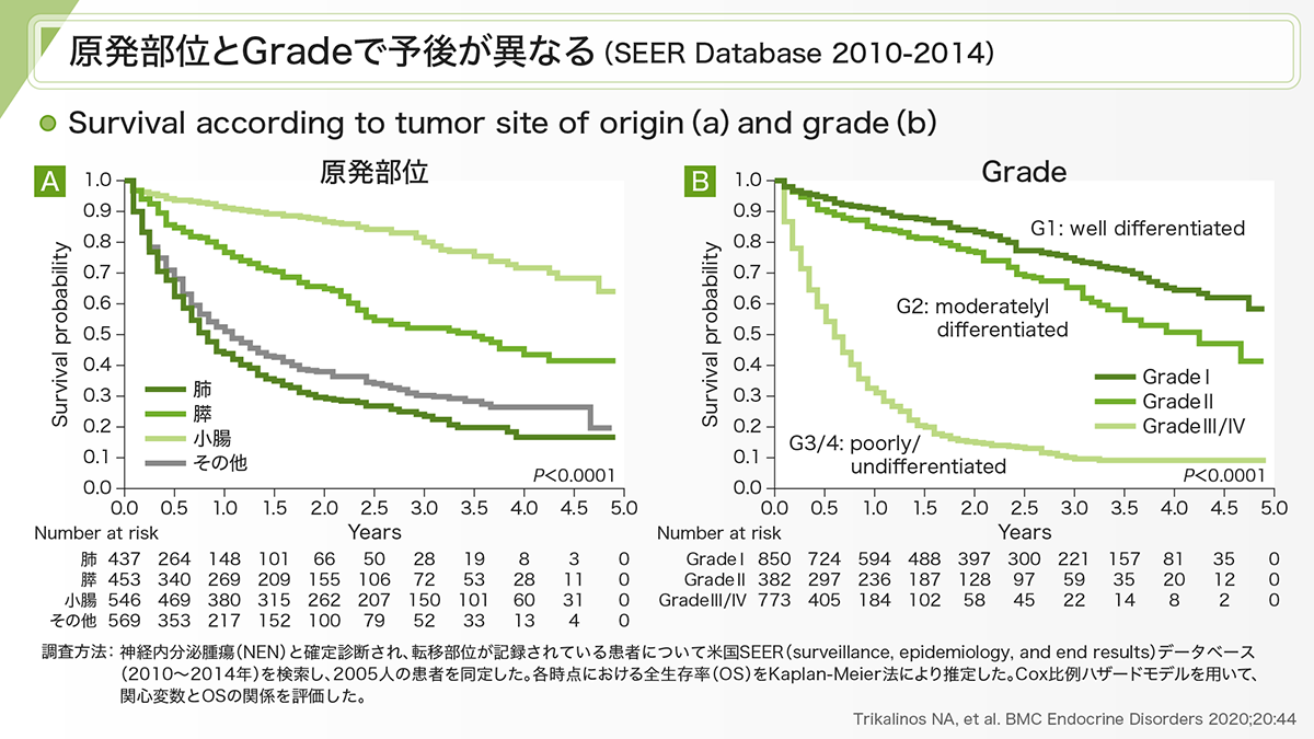 nen-medical-network-slide-03