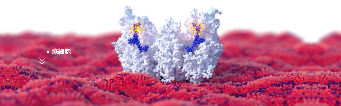 img-science-03-L