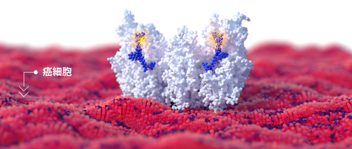 img-science-03-M