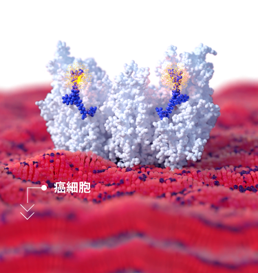 img-science-03-S