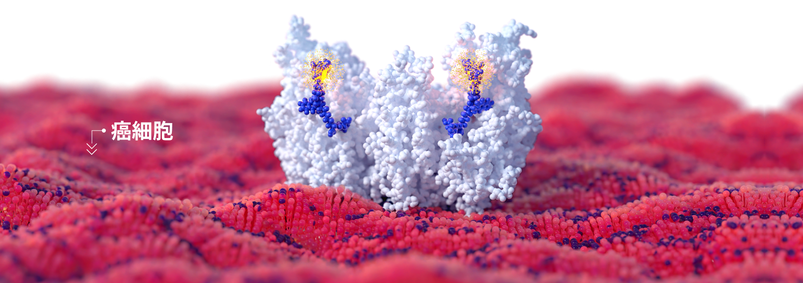 img-science-03-XL